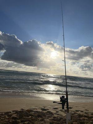 Coast N Country Realty