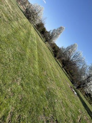 East Side Property & Maintenance