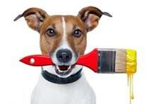 B & P Painting Company