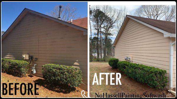 No Hassell Painting & Softwash