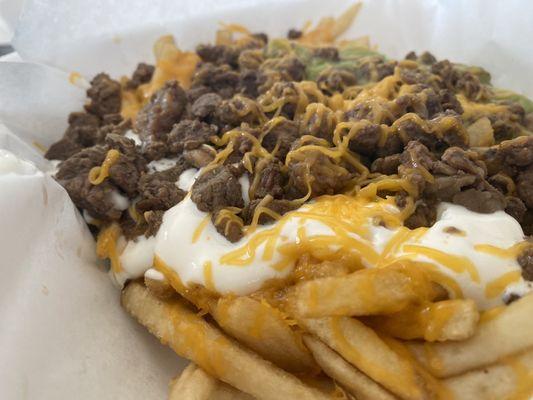 Carne asada fries