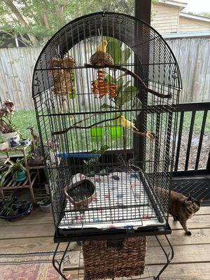 Exotic Bird Hospital