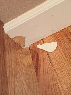 Capitol Hardwood Floors