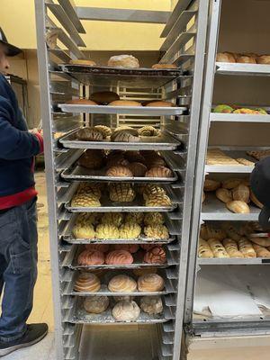 Panaderia San Fernando