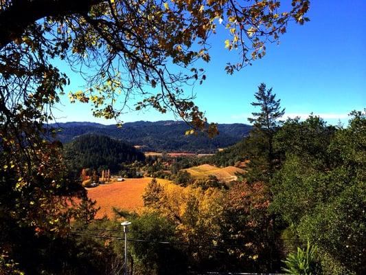 Elmshaven Seventh-Day Adventist Church