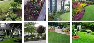 He has done some of my friends houses too! Look how amazing highly recommend! My grass is always green!