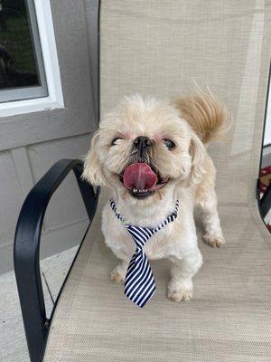 Happy Handsome Alvin
