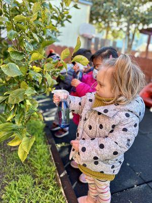 Panda Garden Child Care