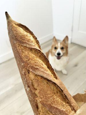 The Midwife and the Baker