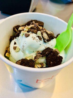 Mint Chocolate Chip Yogurt with Oreos & Andi's Mints