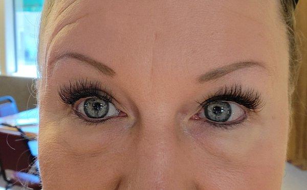 Winks Lash and Brow Company