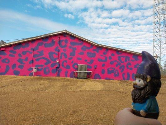 Moonlight Adult Video