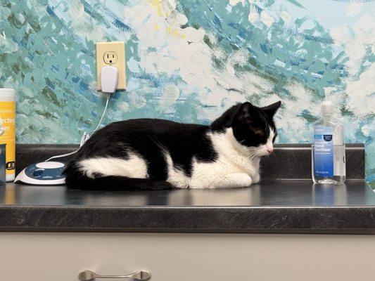 My boy was so relaxed and felt so comfortable here.