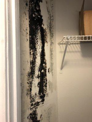 Dover Farms Apartments