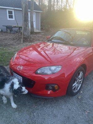 Balch Automotive & Collision