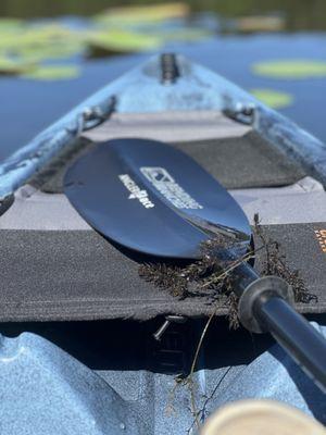 Bending Branches Paddles in stock