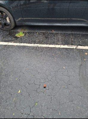 Rocks and pumice stone shot towards our vehicles from employee weed eating just a few feet from our vehicles