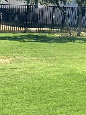 Drees Custom Homes at Travisso