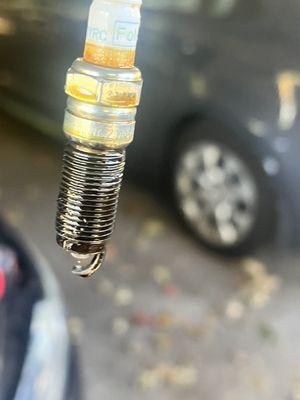 Plugs wet with oil, do to valve cover leak