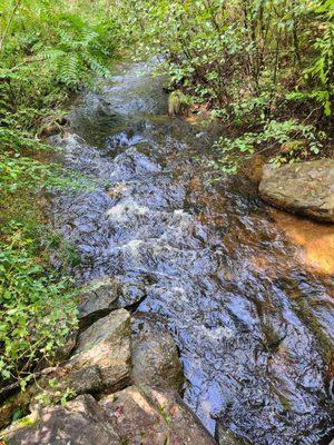 Small stream on the trail