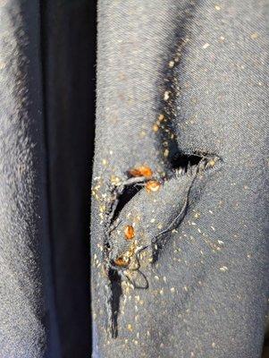 McVeen & Sons' Pest & Termite Control