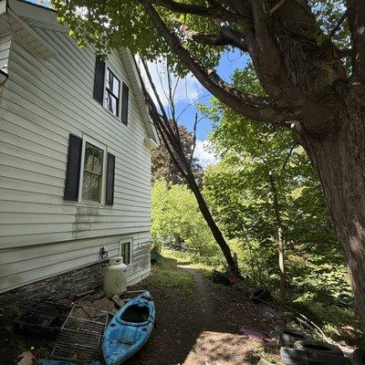 Bryan’s Tree Care