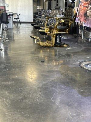 Puerto Rico's Finest Barber Shop & Lounge