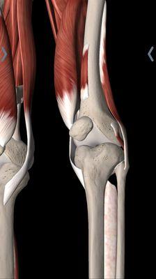 Wilson Ralph R DC & Associates