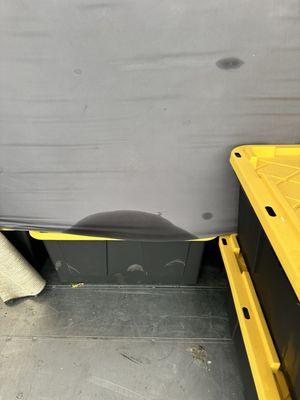 Black Bird Moving & Transport