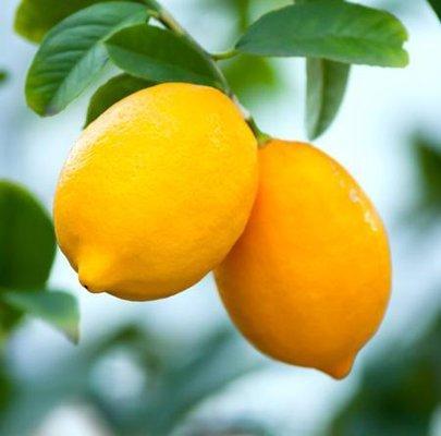 Everything Lemons Gourmet Lemonade