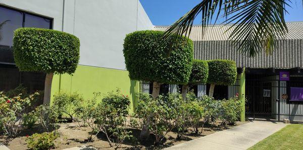 Esquivel Landscaping Service