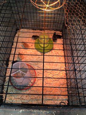 Tibaldo's Feed & Supply