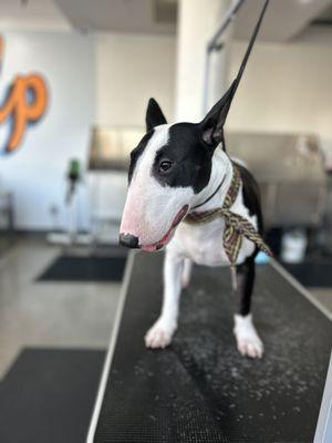 Wednesday loves her baths