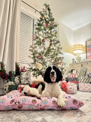 Ella's first day home