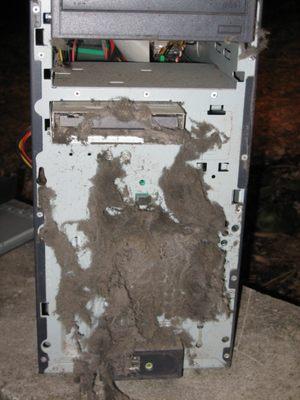 Small Business Computing