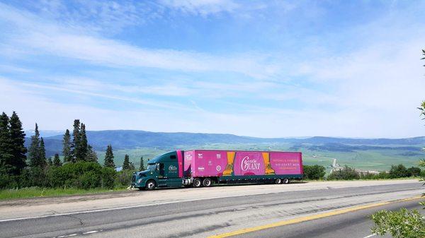 Gentle Giant Moving Company