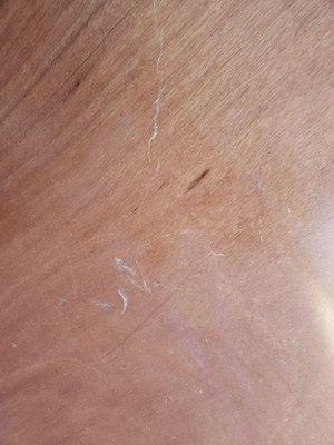 All Occcasion Rentals