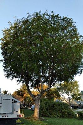 Joaquin Perez Pu Landscape