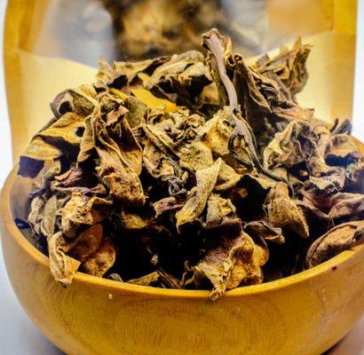 Ivory Holistic Boutique