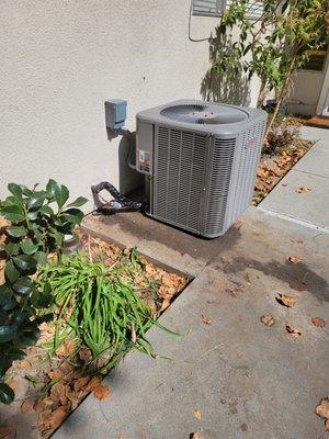 Michael Jaye Electric