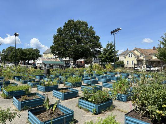 Groundwork Southcoast