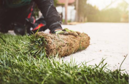 Waldo & Son Landscaping