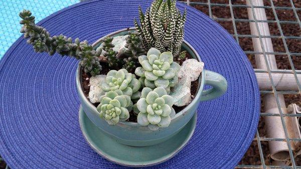 River Street Flowerland