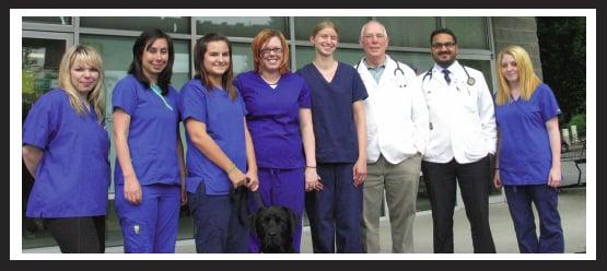 Klahanie Center Veterinary Hospital