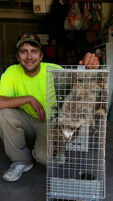 The Critter Man