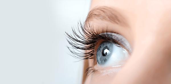 River North Eye Center: Nighat Khan, MD