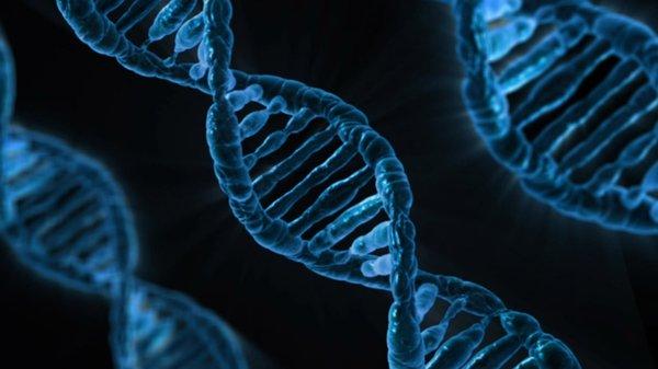 DNA North America
