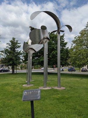 Pickles and Palm Trees, Hartford CT