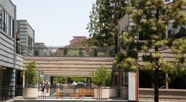 UC San Diego Master's Degree in Clinical Research