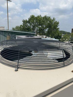 Warner Prime Mechanical